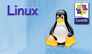 Linux2号機